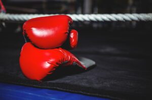 Kickboks handschoenen