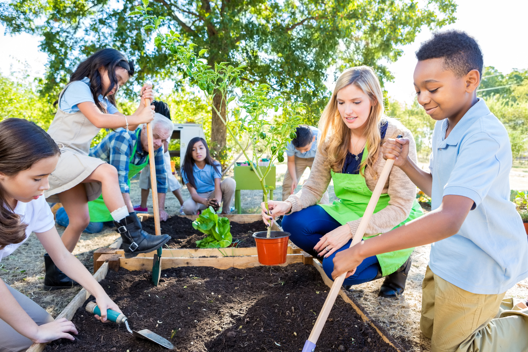 Kinderen werken in de moestuin