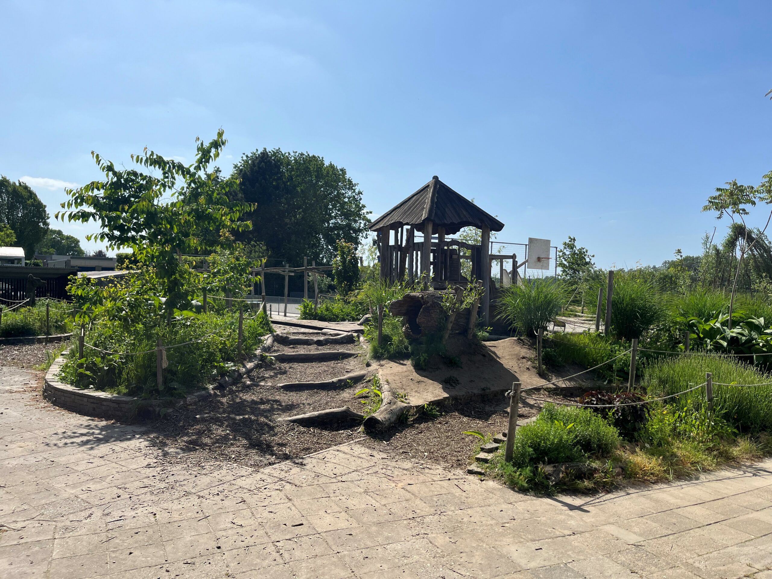 Groen schoolplein